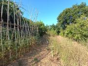 Terreno in vendita a Genova GE