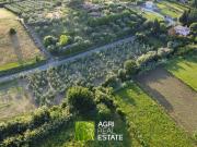 Terreno in vendita a Genzano di Roma RM