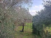 Terreno in vendita a Genzano di Roma RM