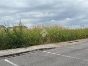 Terreno in vendita a Ghedi BS