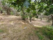 Terreno in vendita a Gimigliano CZ