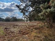 Terreno in vendita a Gioia del Colle