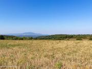 Terreno in vendita a Giove TR