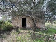 Terreno in vendita a Girasole NU