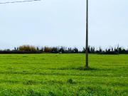 Terreno in vendita a Giugliano in Campania NA