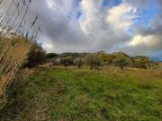 Terreno in vendita a Giungano SA
