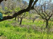 Terreno in vendita a Giungano SA