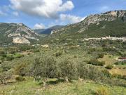 Terreno in vendita a Giungano SA