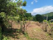Terreno in vendita a Giustenice SV