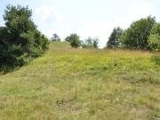 Terreno in vendita a Giusvalla SV