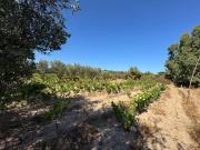 Terreno in vendita a Gonnesa SU