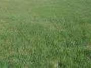 Terreno in vendita a Gradisca d'Isonzo GO