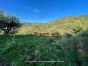 Terreno in vendita a Gratteri PA