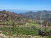 Terreno in vendita a Gratteri PA