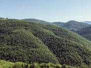 Terreno in vendita a Greve in Chianti FI