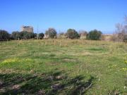 Terreno in vendita a Grisolia CS