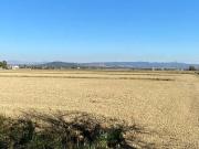 Terreno in vendita a Grosseto GR Terreno in vendita a Grosseto GR