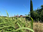 Terreno in vendita a Grosseto GR