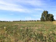 Terreno in vendita a Grosseto GR