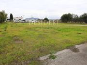 Terreno in vendita a Grosseto GR