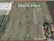 Terreno in vendita a Grosseto GR