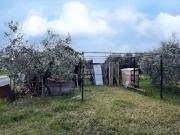 Terreno in vendita a Grosseto GR