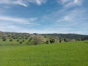 Terreno in vendita a Grosseto GR