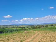 Terreno in vendita a Grosseto GR