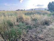 Terreno in vendita a Grosseto GR