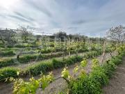 Terreno in vendita a Grottaferrata RM