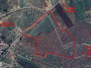 Terreno in vendita a Grumo Appula BA