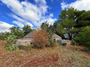 Terreno in vendita a Grumo Appula BA