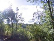 Terreno in vendita a Guardia Lombardi AV