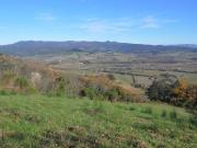 Terreno in vendita a Guardistallo PI