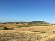 Terreno in vendita a Guglionesi CB