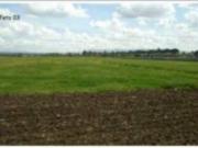 Terreno in vendita a Guidonia Montecelio RM