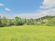 Terreno in vendita a Guiglia MO