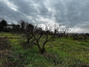 Terreno in vendita a Imola BO