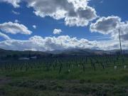 Terreno in vendita a Imola BO