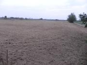 Terreno in vendita a Imola BO