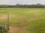 Terreno in vendita a Imola BO