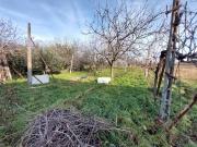 Terreno in vendita a Imola BO