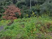 Terreno in vendita a Imperia IM