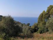 Terreno in vendita a Imperia IM