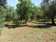 Terreno in vendita a Itri LT