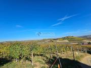 Terreno in vendita a La Morra CN