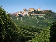 Terreno in vendita a La Morra CN