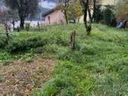 Terreno in vendita a Laglio CO