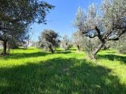 Terreno in vendita a Lanciano CH