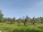Terreno in vendita a Lanciano CH